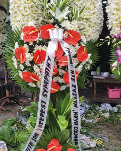 feelings of pity and sorrow